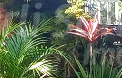 Imagem 2: LINDA CASA EM EXCELENTE LOCALIZAÇÃO NO PEREQUE - ILHABELA