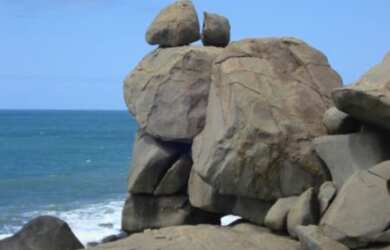 Imagem 16: Ilha á venda island em Palhoça Santa Catarina