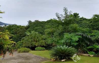 Imagem 11: ATENÇÃO INVESTIDORES - ILHABELA, Vendo área de 9.258 M² frente para...