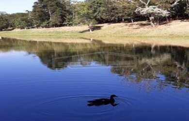 Imagem 3: TERRENO CASA EM CONDOMÍNIO em ITATIBA - SP, CONDOMÍNIO GSP ARTS ITATIBA