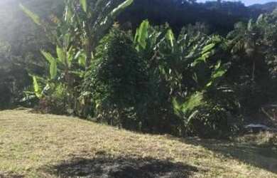 Imagem 2: - Chácara no km 354 da rodovia Régis Bittencourt, município de Miracatu.Vende/Permuta