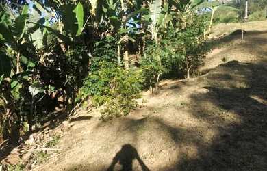 Imagem 3: - Chácara no km 354 da rodovia Régis Bittencourt, município de Miracatu.Vende/Permuta