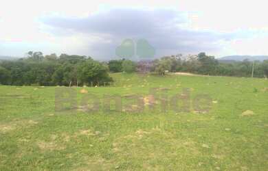 Imagem 3: FAZENDA MORRO ALTO, CIDADE DE ITUPEVA