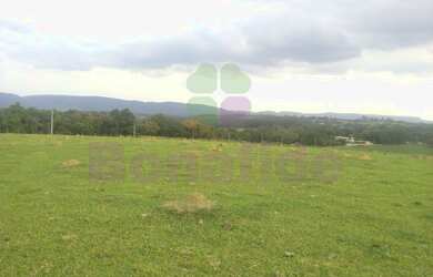 Imagem 4: FAZENDA MORRO ALTO, CIDADE DE ITUPEVA