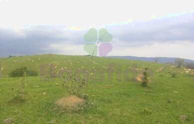 Imagem 10: FAZENDA MORRO ALTO, CIDADE DE ITUPEVA