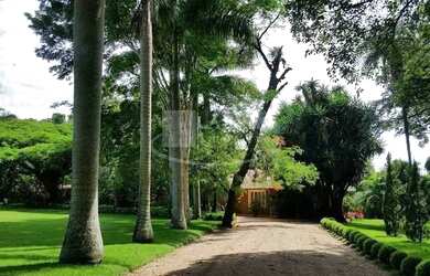 Imagem 3: Linda fazenda com Haras para venda em Tambau-SP, com 73,44 alqueires, casa sede, nascentes