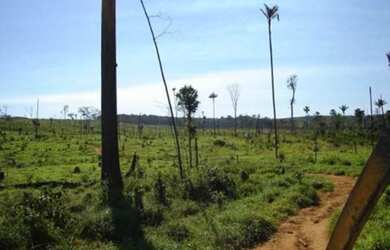 Imagem: A fazenda possui 2 Dormitórios, 2 Banheiros e 4163m² de Área