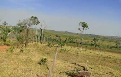 Imagem 14: Vende-se fazenda em Juara, 4.163 hectares, 1.694 hec formados com pasto