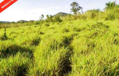 Imagem: A fazenda possui 1.165m² de Área e está localizado em Zona