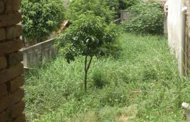 Imagem 3: TERRENO RESIDENCIAL em SÃO PAULO - SP, LAUZANE PAULISTA