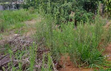 Imagem 11: Terreno RESIDENCIAL em ATIBAIA - SP, RIBEIRÃO DOS PORCOS