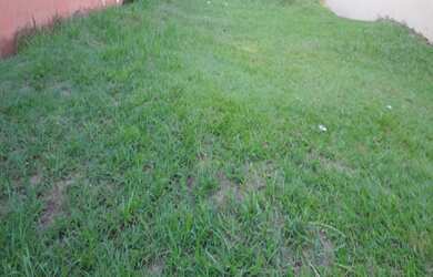 Imagem 1: TERRENO 250m² NO CONDOMÍNIO GRANJA OLGA 3 À VENDA POR R$695.000,00