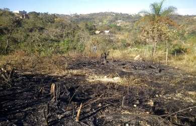 Imagem: O terreno possui 360m² de Área Privada e está localizado