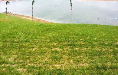 Imagem 2: TERRENO RESIDENCIAL em Piracaia - SP, Condomínio Clube Jaguari