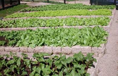 Imagem 11: TERRENO EM CONDOMÍNIO - FAZENDA VILLA REAL ITU