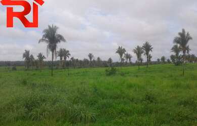 Imagem 1: FAZENDA RURAL em Governador Archer - MA, Zona Rural