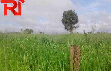 Imagem 8: FAZENDA RURAL em Governador Archer - MA, Zona Rural