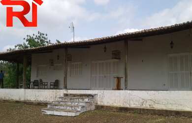 Imagem 13: FAZENDA RURAL em Governador Archer - MA, Zona Rural