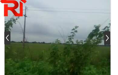 Imagem 3: FAZENDA RURAL em Governador Archer - MA, Zona Rural