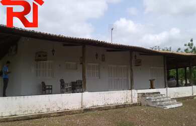 Imagem 15: FAZENDA RURAL em Governador Archer - MA, Zona Rural