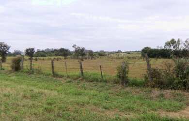 Imagem 5: Área industrial à venda em Maristela/SP