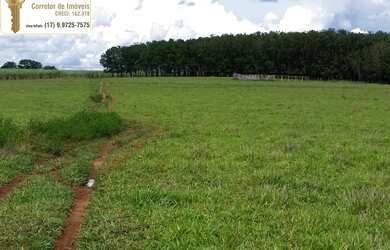 Imagem: A fazenda possui 20m² de Área e está localizado em Rural