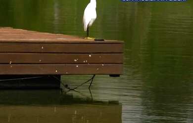 Imagem 4: Terreno no Condomínio Lagune Ville, para Venda Papagaio, Feira de Santana, 720,00 m² total