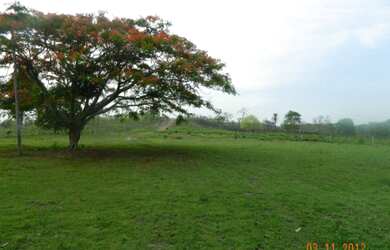 Imagem: A fazenda está localizado em Carolina, MA à venda por R$460.000