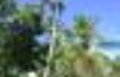 Imagem 2: FAZENDA em Carolina - MA. 