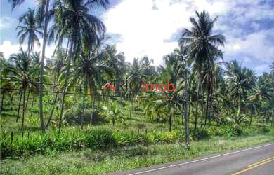 Imagem 5: Área de praia a venda em Ilhéus Bahia com 560 metros de frente na praia...