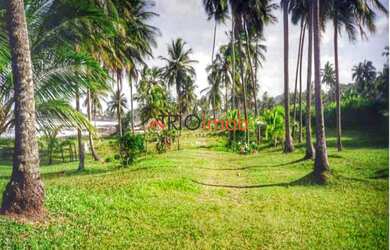 Imagem 12: Área de praia a venda em Ilhéus Bahia com 560 metros de frente na praia...