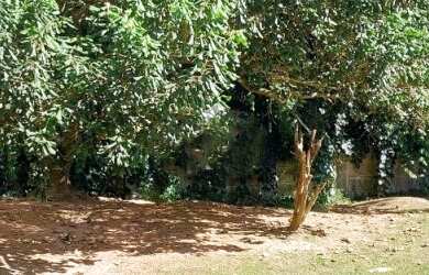 Imagem 6: Terreno à venda no condomínio San Diego Park na Granja Viana - Batelli...