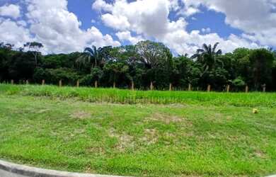 Imagem: O terreno possui 431m² de Área e está localizado em Comercial