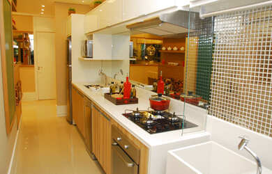 Imagem 12: 3 dormitórios na Rua Carvalho De Freitas