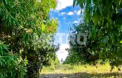 Imagem: A fazenda possui 60.000m² de Área Privada e está localizado