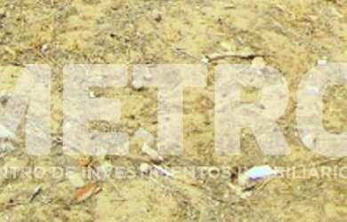 Imagem: O terreno possui 1000m² de Área e está localizado em Palhinhas