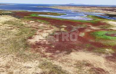Imagem: A fazenda possui 500.000m² de Área Privada e está localizado