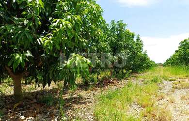Imagem: A fazenda possui 1 Dormitório, 1 Suíte, 2 Banheiros, 125.000m²