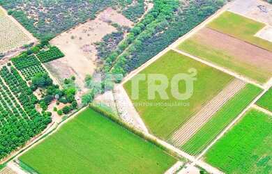Imagem: Fazenda à venda de uvas finas, 37h, produzindo, infraestrutura