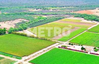 Imagem 3: Fazenda à venda de uvas finas, 37h, produzindo, infraestrutura, Petrolina-PE