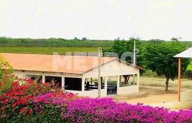 Imagem 4: Fazenda à venda de uvas finas, 37h, produzindo, infraestrutura, Petrolina-PE