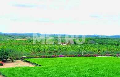 Imagem 6: Fazenda à venda de uvas finas, 37h, produzindo, infraestrutura, Petrolina-PE