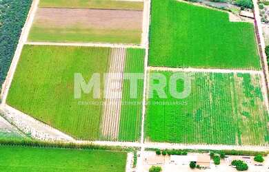 Imagem 7: Fazenda à venda de uvas finas, 37h, produzindo, infraestrutura, Petrolina-PE