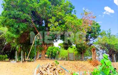Imagem 3: Casa à venda na Ilha do Rodeadouro, beira Rio, piscina, 2 quartos, Petrolina