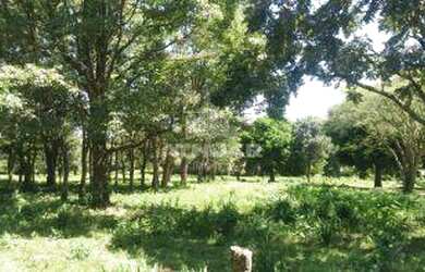 Imagem: O terreno e está localizado em Três Lagoas, Foz do Iguaçu