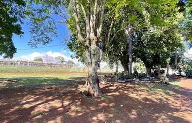 Imagem 7: CHÁCARA PARA VENDA NO ALTO DA BOA VISTA