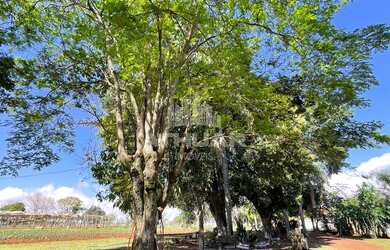 Imagem 10: CHÁCARA PARA VENDA NO ALTO DA BOA VISTA