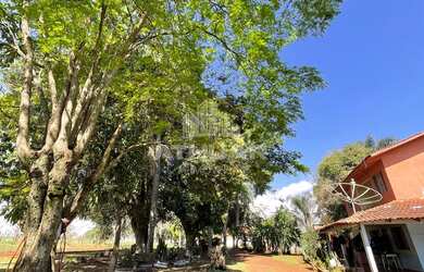 Imagem 5: CHÁCARA PARA VENDA NO ALTO DA BOA VISTA
