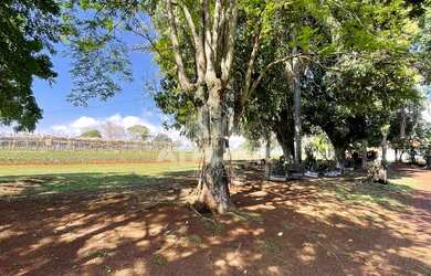 Imagem 8: CHÁCARA PARA VENDA NO ALTO DA BOA VISTA