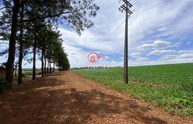 Imagem 4: Chácara à venda, LINHA VISTA ALEGRE, TOLEDO - PR